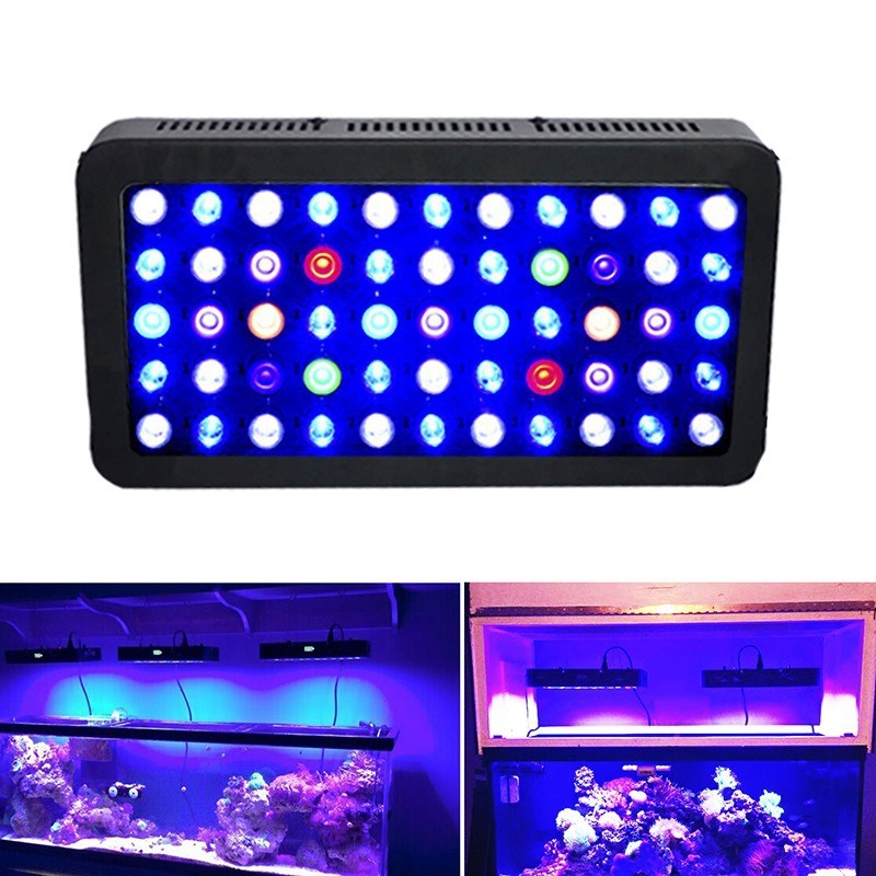 165W Aquarium Light Smart WIFI - огляд і ціна Marine Aquarium Timing