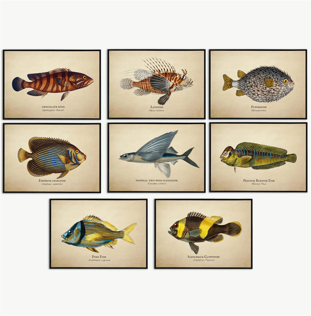 Vintage Pictures Tropical Fish - огляд і ціна Marine Aquarium Home