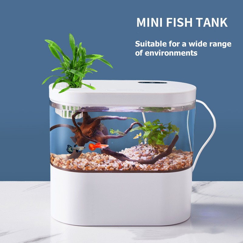 Mini Desktop Aquarium Fish Tan - огляд і ціна Marine Aquarium Water Change