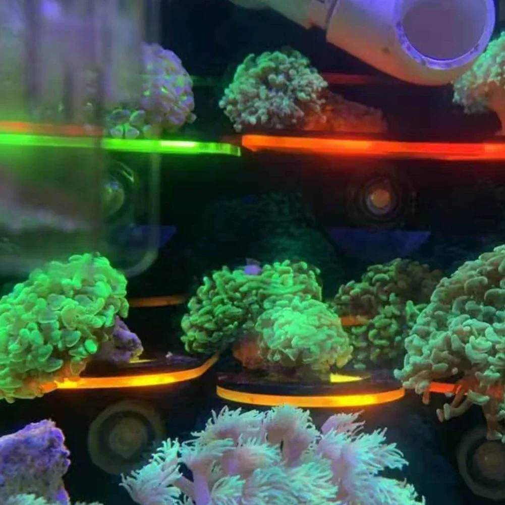 Fish Tank Acrylic Fluorescent  - огляд і ціна Aquarium Marine Fishes