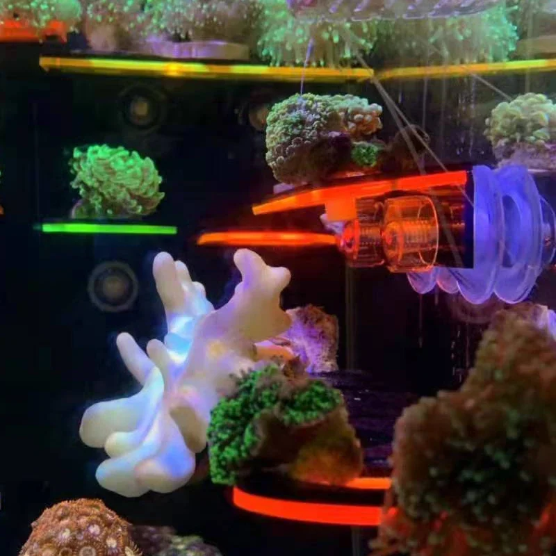 Fish Tank Acrylic Fluorescent  - огляд і ціна Aquarium Marine Fishes