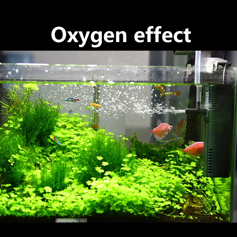 SUNSUN mini nano 111B 311B 611 - огляд і ціна Marine Aquarium Hardscape